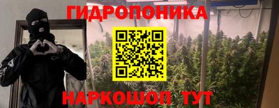 герыч Кингисепп