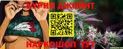 jwh Кимры