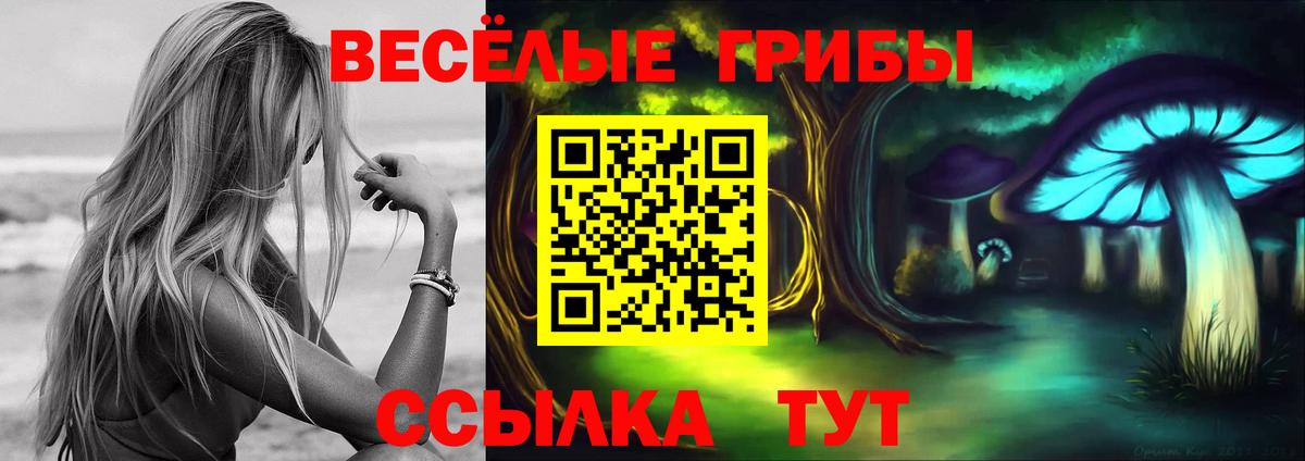 Псилоцибиновые грибы прущие грибы  Галлюциногенные грибы GOLDEN TEACHER  Вход с VPN  закладки  Коркино 